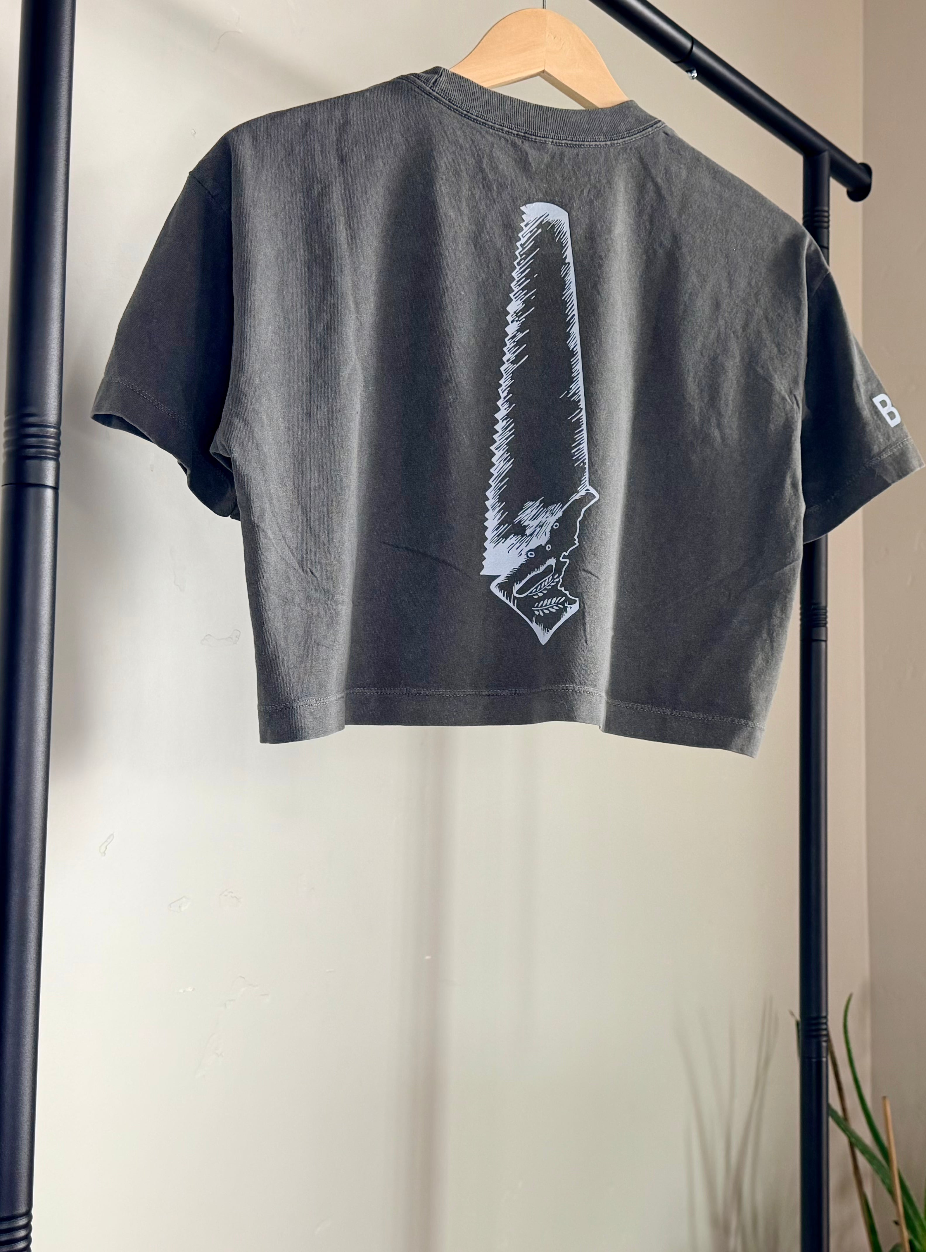 Short sleeve Crop Top